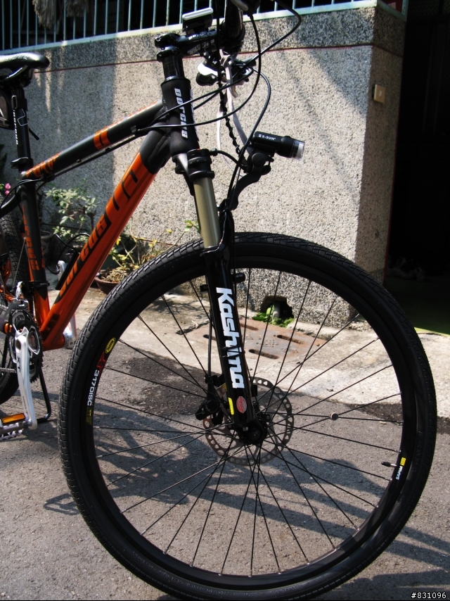 DORCUS LTD PRO 黑橘入手