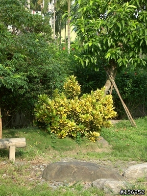 鴻海 普立爾 Premier DS-7450 試用心得(已補測試照)