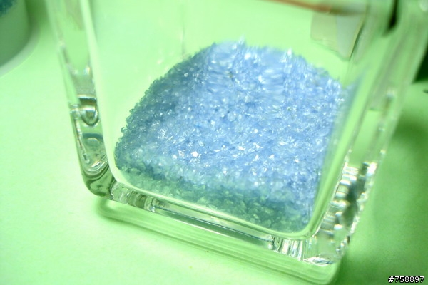 自製辦公室小物 竹柏小盆栽