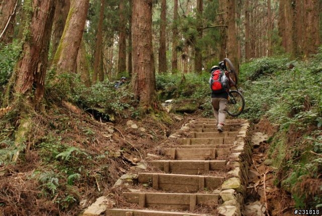 特富野步道自忠段—絕對輕鬆的芬多精之旅