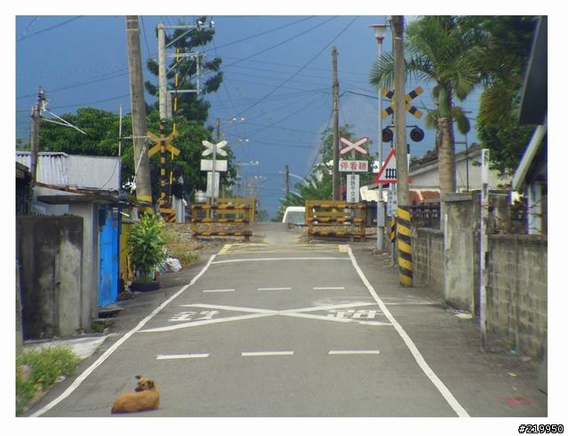 慘絕人寰小折環島 之 東北季風 <上> (內容過於血腥,不喜者勿入)