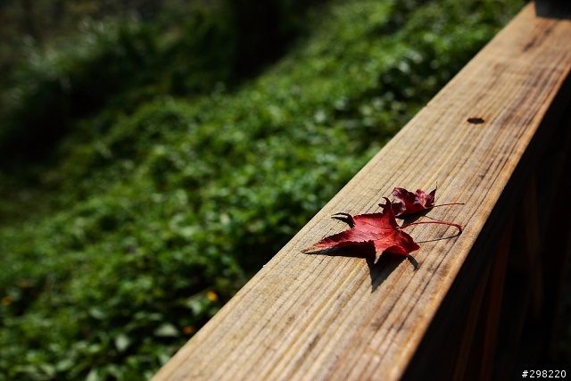 Canon 17-55mm F2.8 IS 防手震異音