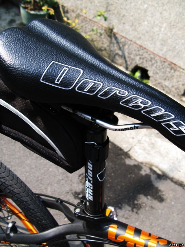 DORCUS LTD PRO 黑橘入手