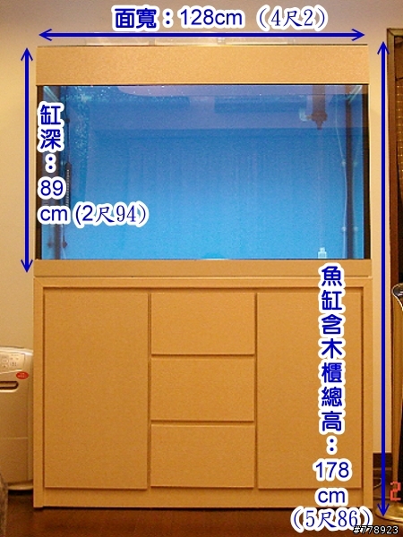 圖:新設缸,龍魚、魟魚、龍鯉....還不知該養什麼魚? 請給建議.........