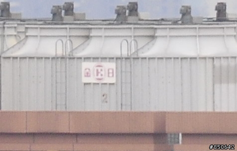 D300拍攝婚禮(圖多)
