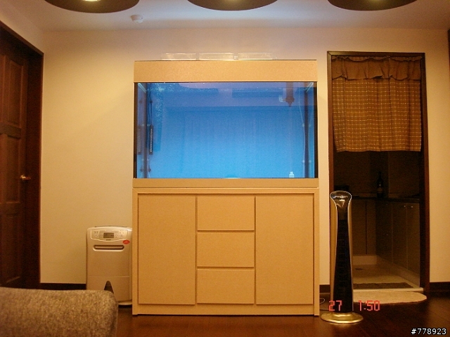圖:新設缸,龍魚、魟魚、龍鯉....還不知該養什麼魚? 請給建議.........