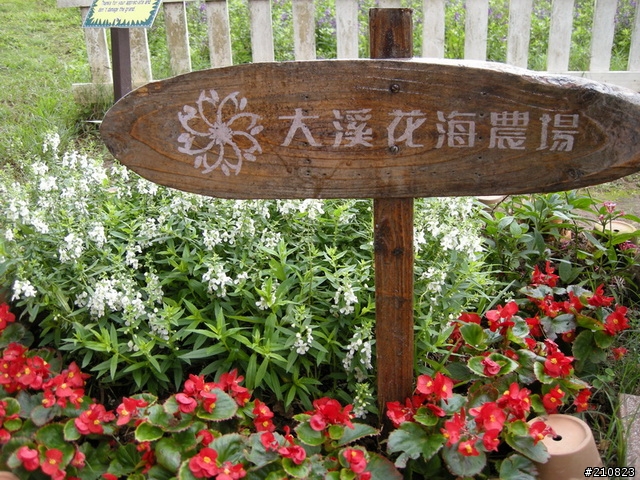 大溪花海農場