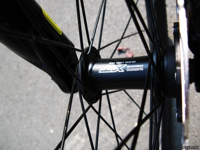 DORCUS LTD PRO 黑橘入手