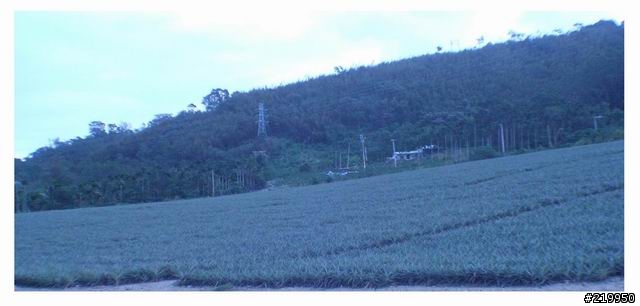 慘絕人寰小折環島 之 東北季風 <上> (內容過於血腥,不喜者勿入)