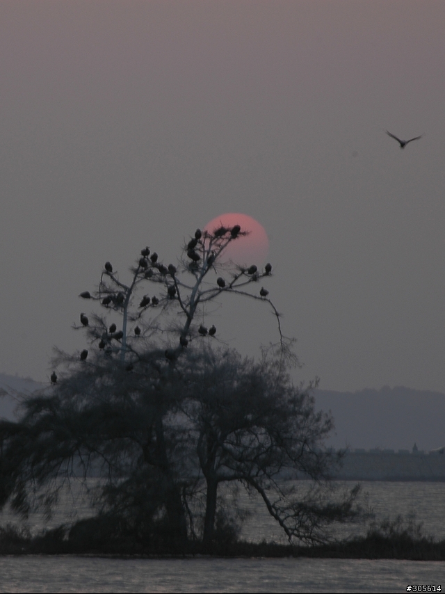 2007.12.31最後一道夕陽...全台最晚...歡迎接力