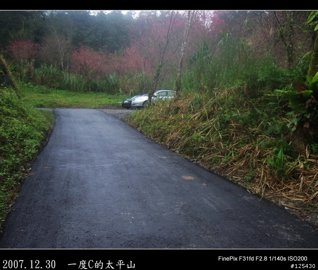 【一度C的歷練】小白鼠挑戰太平山之旅