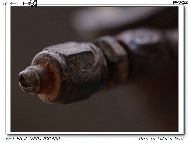 邀請您的 50mm f2 macro 作品
