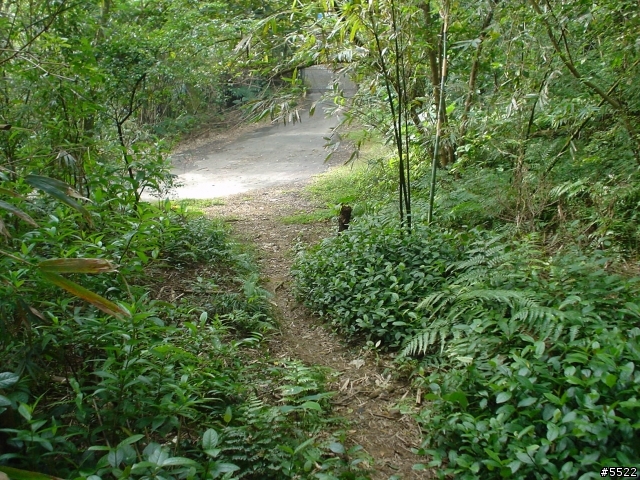 山中湖越嶺
