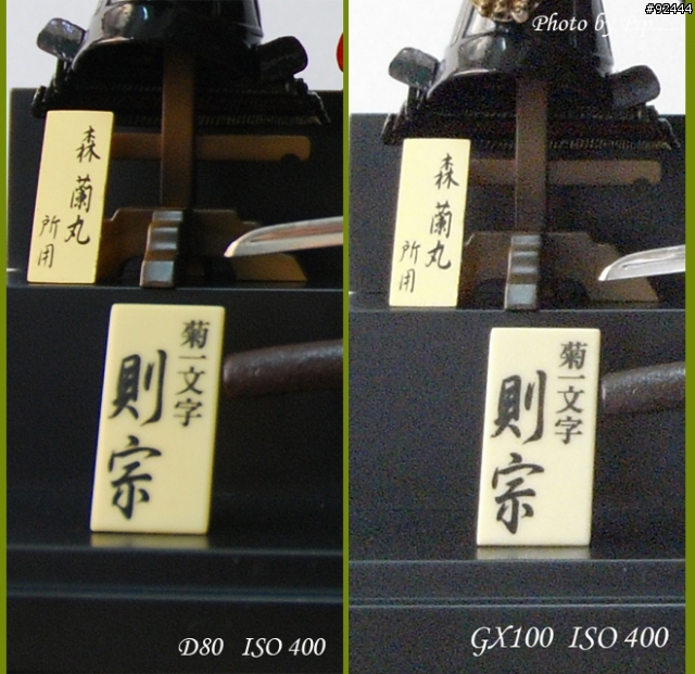 ~~~ Ricoh GX100 與 Nikon D80 大亂鬥 ~~~