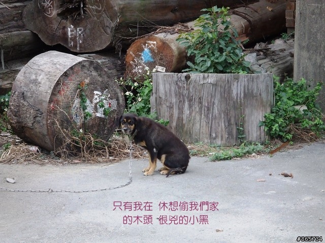 麥可 一隻腳完成石門水庫之旅