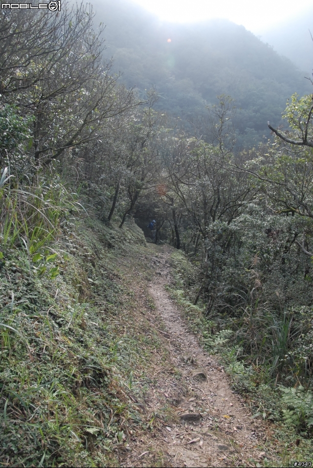 離開都市叢林與柏油路面,來去騎林道吧(四)之桶後越嶺古道(烏來至礁溪)單車行