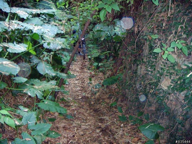 大崗山落日峽谷20071201