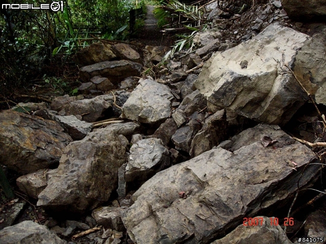櫻花滿山谷的福山村~(附:加九寮步道歐弗洛驚魂記)