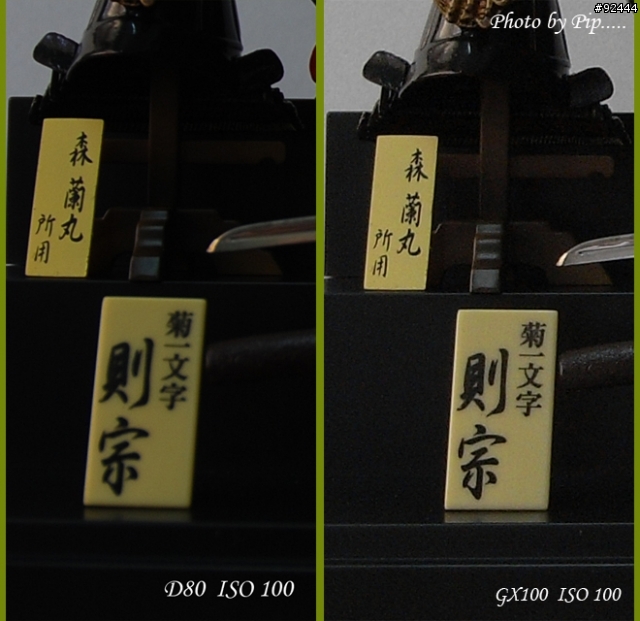 ~~~ Ricoh GX100 與 Nikon D80 大亂鬥 ~~~