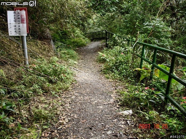櫻花滿山谷的福山村~(附:加九寮步道歐弗洛驚魂記)