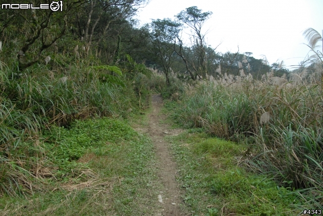 離開都市叢林與柏油路面,來去騎林道吧(四)之桶後越嶺古道(烏來至礁溪)單車行