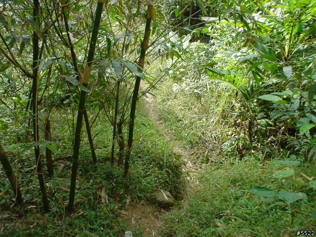 山中湖越嶺