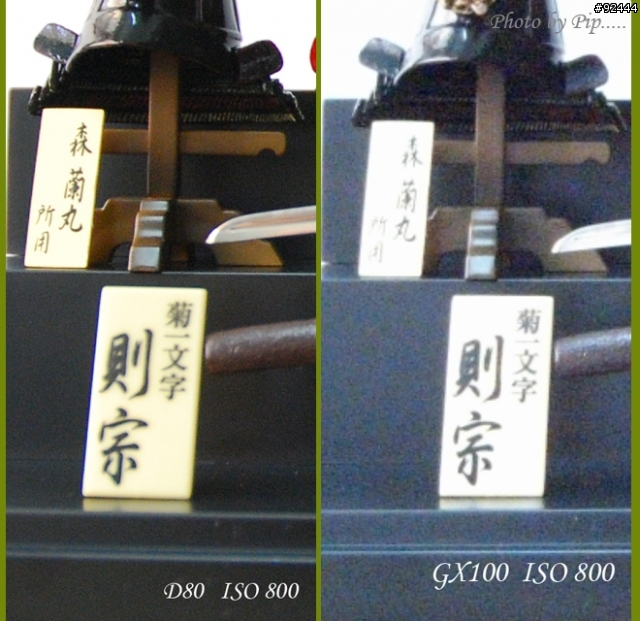 ~~~ Ricoh GX100 與 Nikon D80 大亂鬥 ~~~