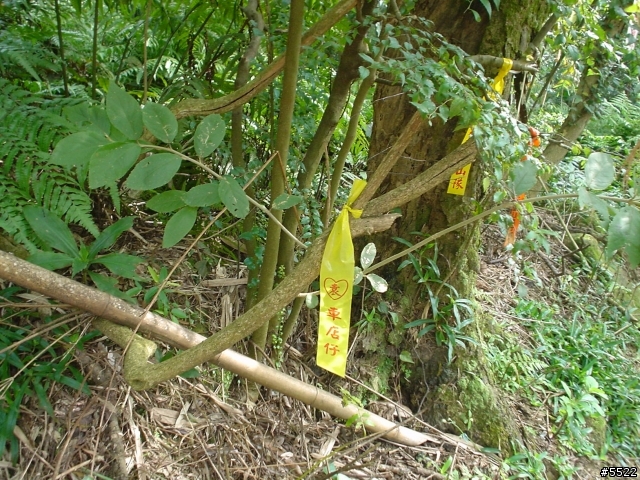 山中湖越嶺