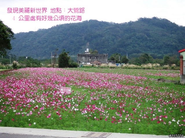 麥可 一隻腳完成石門水庫之旅