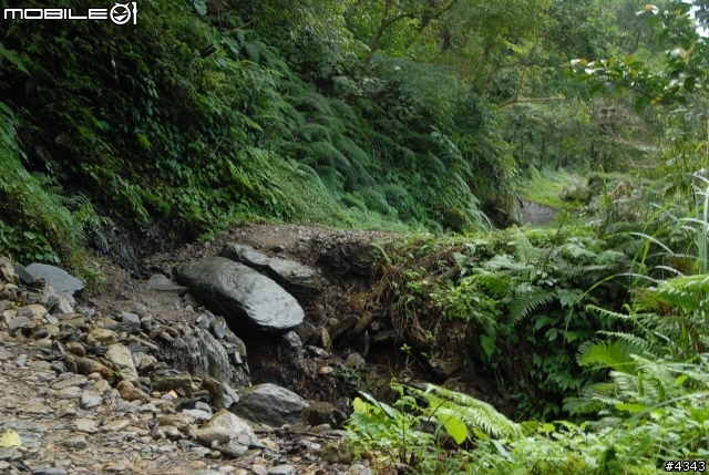 離開都市叢林與柏油路面,來去騎林道吧(四)之桶後越嶺古道(烏來至礁溪)單車行
