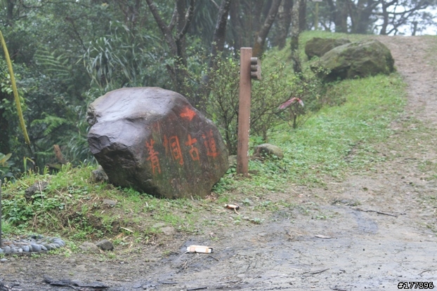緩緩飄落的楓葉像思念...(圖不少請小心)