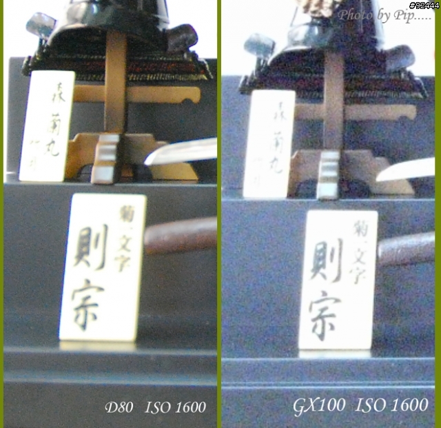 ~~~ Ricoh GX100 與 Nikon D80 大亂鬥 ~~~