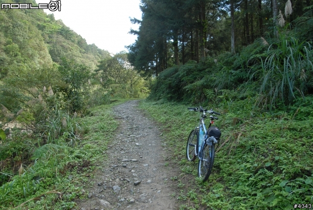 離開都市叢林與柏油路面,來去騎林道吧(四)之桶後越嶺古道(烏來至礁溪)單車行