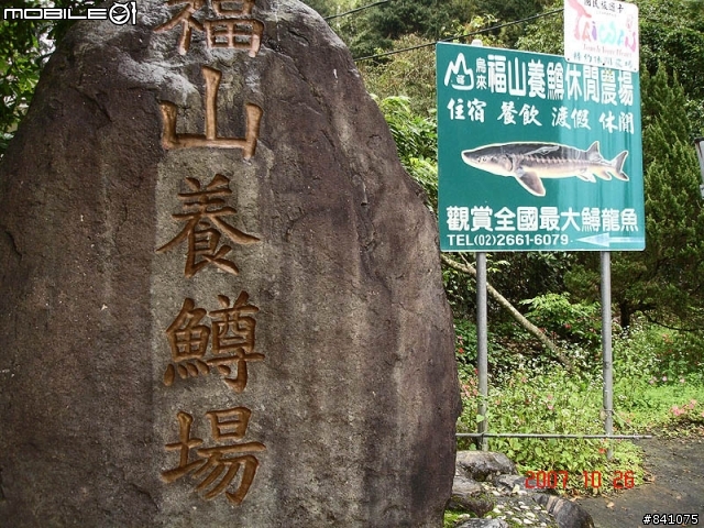 櫻花滿山谷的福山村~(附:加九寮步道歐弗洛驚魂記)