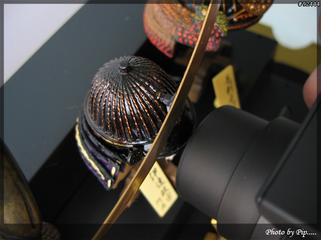 ~~~ Ricoh GX100 與 Nikon D80 大亂鬥 ~~~