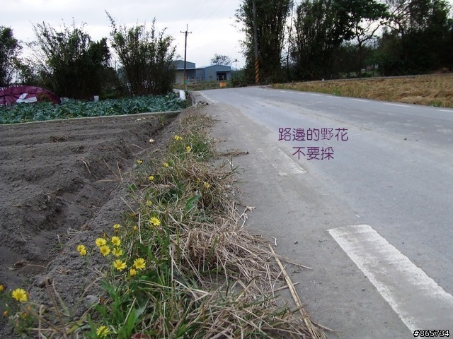 麥可 一隻腳完成石門水庫之旅