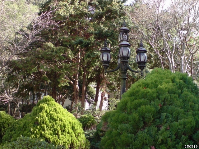 "手機 & 相機" 500萬兄弟機?! (12/24新增萬大照片)