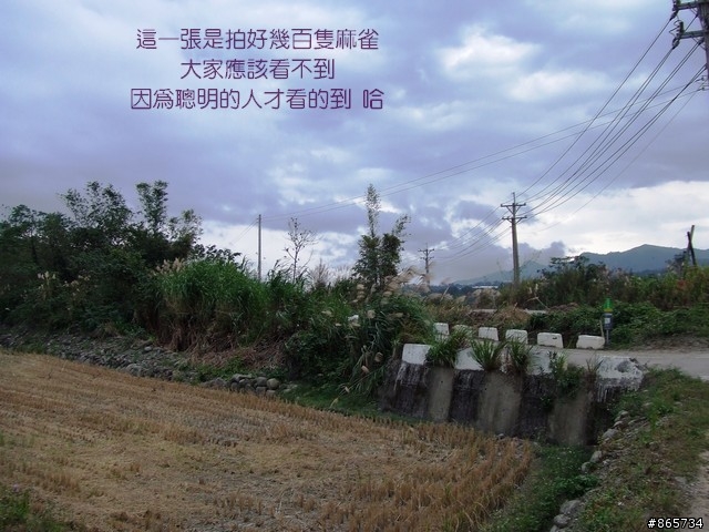 麥可 一隻腳完成石門水庫之旅