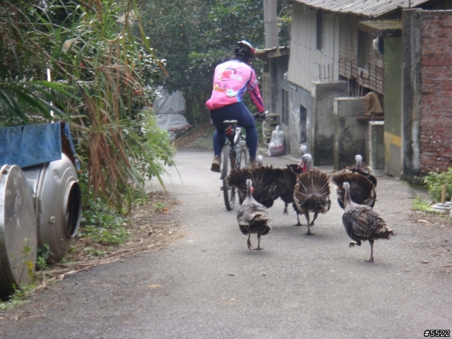 山中湖越嶺