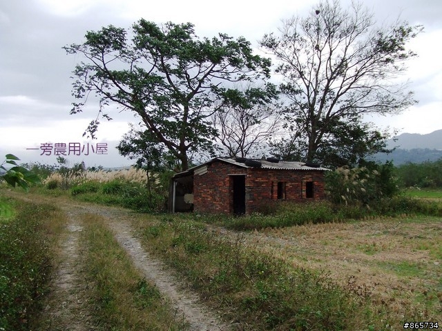 麥可 一隻腳完成石門水庫之旅