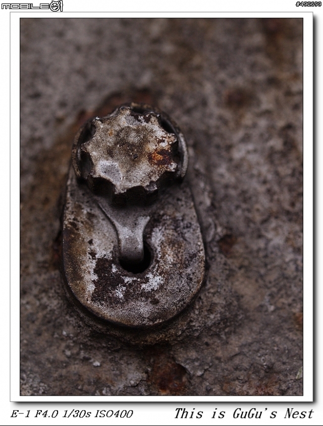 邀請您的 50mm f2 macro 作品