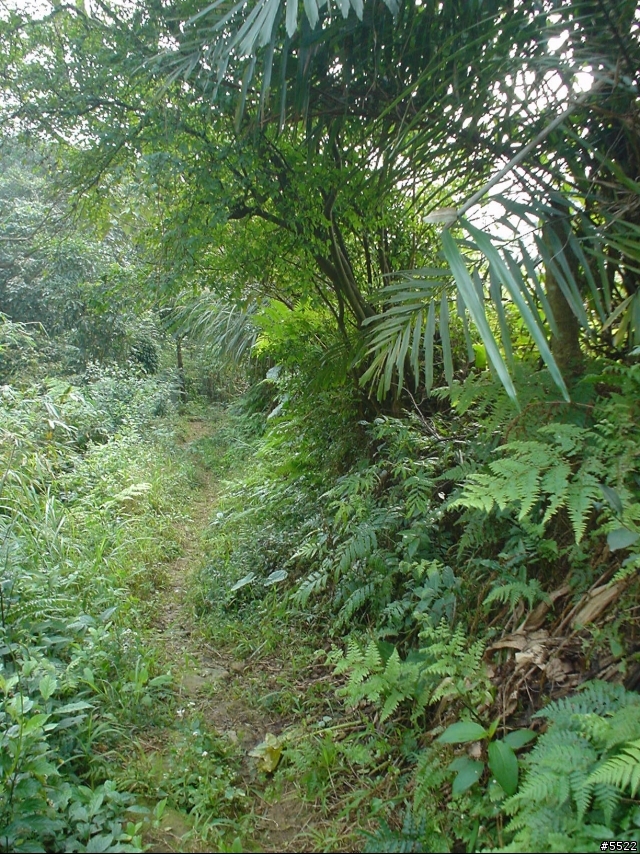 山中湖越嶺