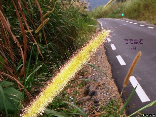 麥可 一隻腳完成石門水庫之旅