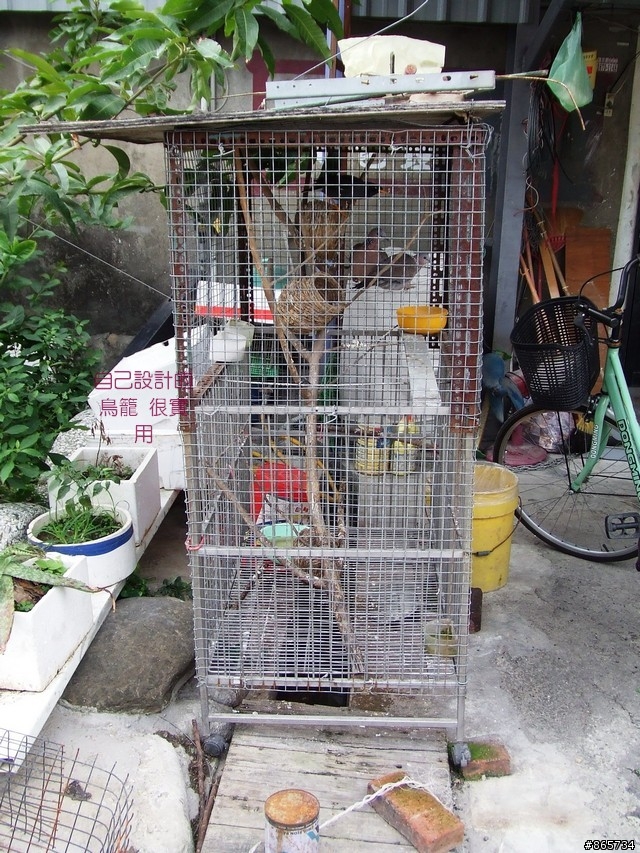 麥可 一隻腳完成石門水庫之旅