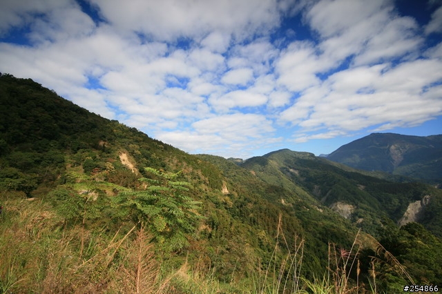 藤枝探路紀行