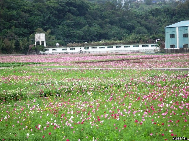麥可 一隻腳完成石門水庫之旅