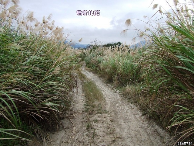麥可 一隻腳完成石門水庫之旅