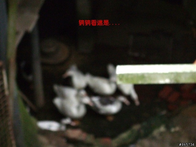 麥可 一隻腳完成石門水庫之旅