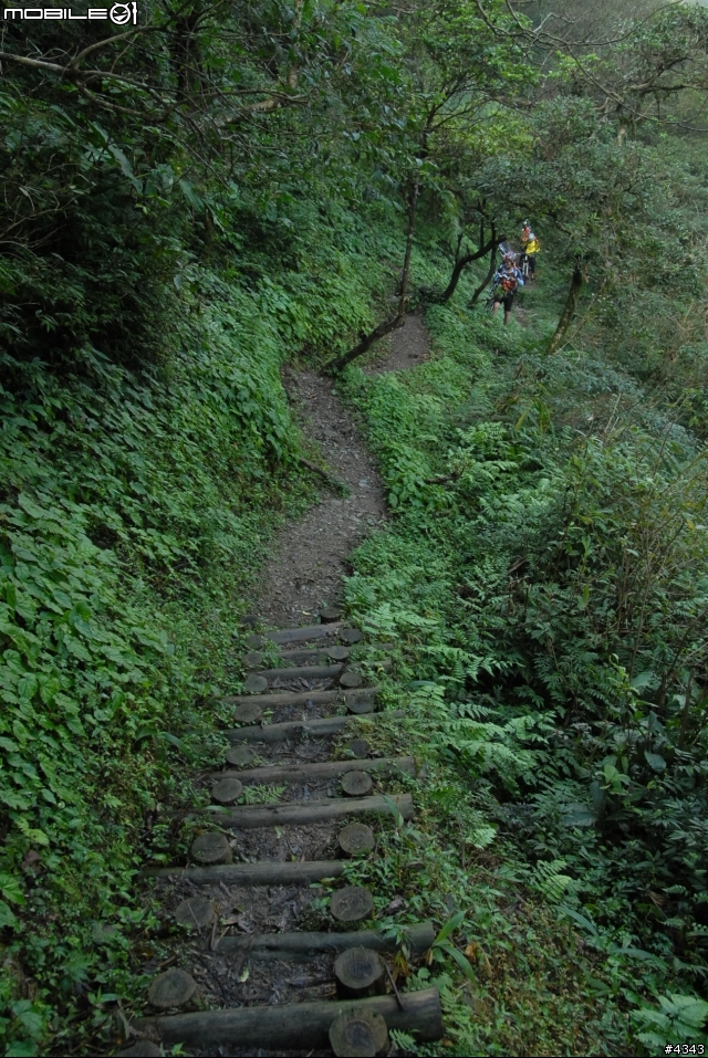 離開都市叢林與柏油路面,來去騎林道吧(四)之桶後越嶺古道(烏來至礁溪)單車行