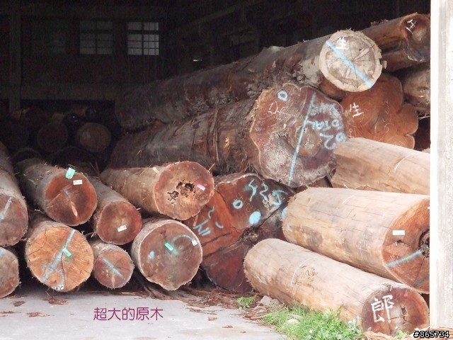 麥可 一隻腳完成石門水庫之旅